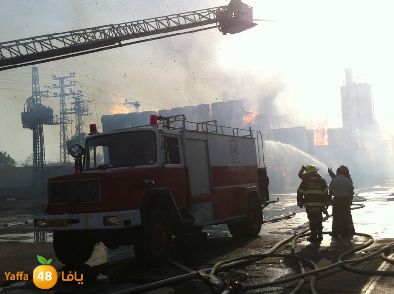 fireludkartoonmasna34 (62).JPG